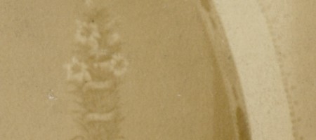 East wall detail. This may be acanthus, a symbol for enduring life.