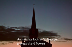 graveyardflowers_400px